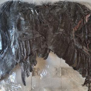 Ailes noires pour déguisement