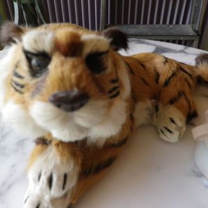 Tigre Asiatique de décoration Vintage.