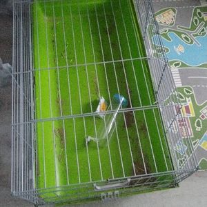 Grande cage pour rongeur