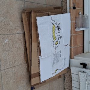 Cartons déménagement 