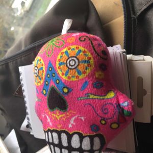 Déco «&nbsp;tête de mort&nbsp;» rose a accroché 