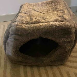 Lot maisonnette et gamelle ludique pour chat 