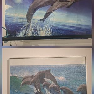Affiche et puzzle dauphin