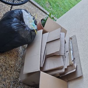 Cartons + papier bulle 