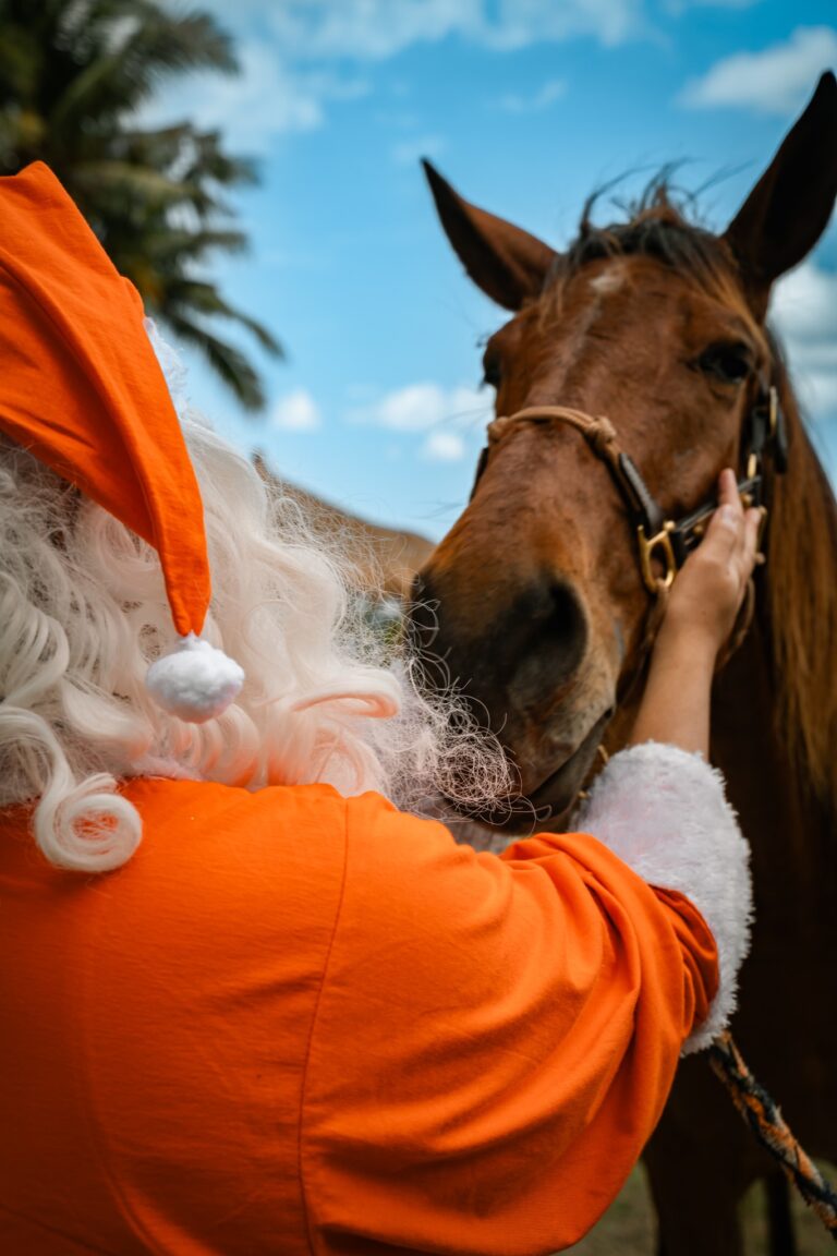 NIHI Sumba Sambut Musim Liburan “Wild Wonderland”