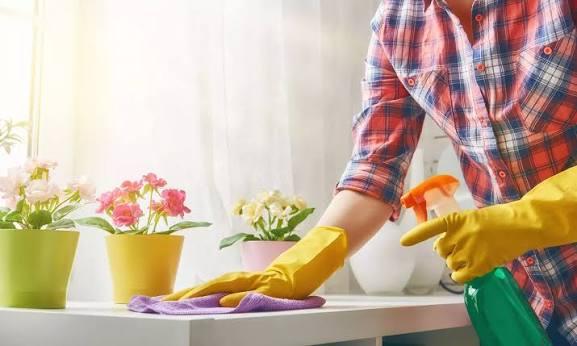 One Cleaning