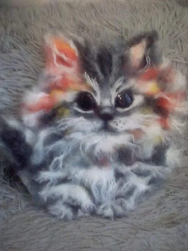 Котенок