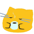 catscoffee