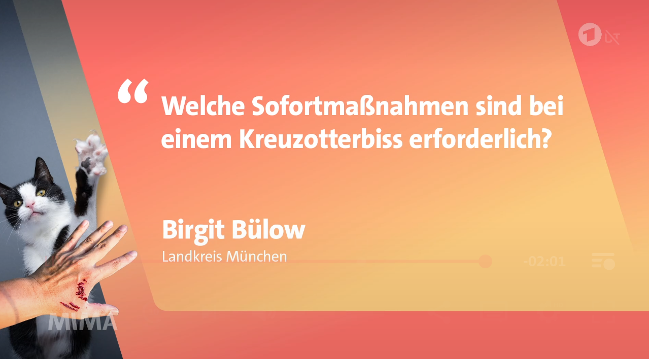 Texttafel;
Frage von Birgit Bülow, Landkreis im Mittagsmagazin:

Welche Sofortmaßnahmen sind bei einem Kreuzotterbiss erforderlich?