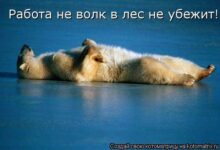 * 3 * ## "Работа не волк, но и в лес не убежит": Записки из дурдома трудоголиков "Трудовые пчелки" или "Загнанные лошади"? Итак,... - новости