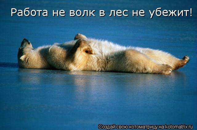 * 3 * ## "Работа не волк, но и в лес не убежит": Записки из дурдома трудоголиков "Трудовые пчелки" или "Загнанные лошади"? Итак,... - новости