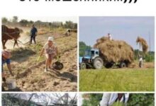 В этом подходе мы оказались на самом верхнем этаже юмора — где сочетаются «патриархальные бунты» и «танцы девушек в кроп-топах»,... - новости