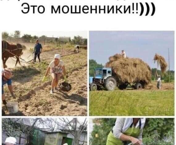 В этом подходе мы оказались на самом верхнем этаже юмора — где сочетаются «патриархальные бунты» и «танцы девушек в кроп-топах»,... - новости