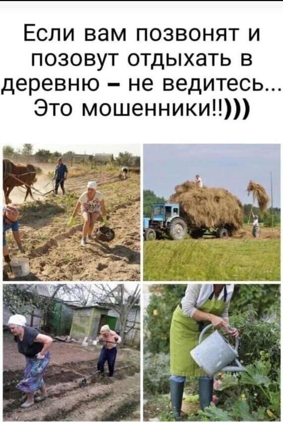 В этом подходе мы оказались на самом верхнем этаже юмора — где сочетаются «патриархальные бунты» и «танцы девушек в кроп-топах»,... - новости