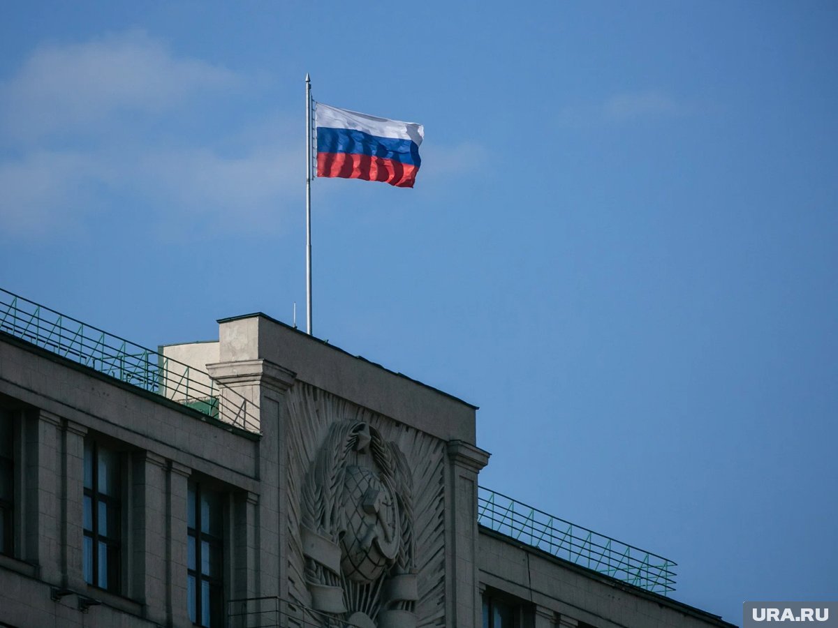 Пушкин идет в первый класс: Госдума готовит культурную революцию для семилеток и спасение родительских кошельков