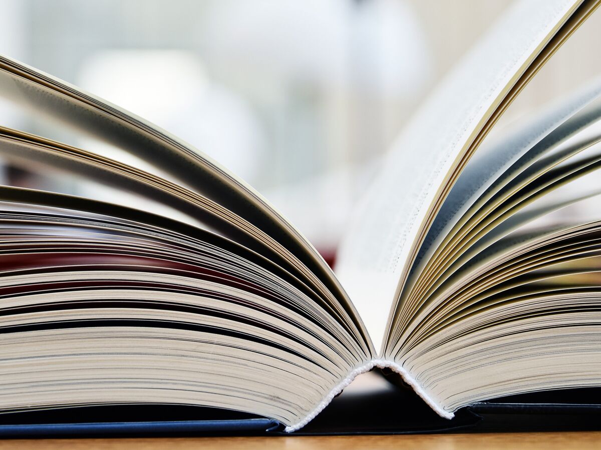 Иллюстрация с котом-бегемотом, держащим книгу "Мануал по спасению мира"