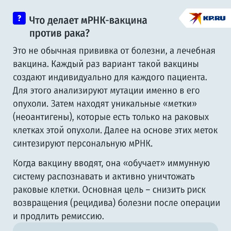 новости