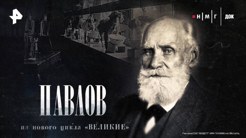 Иллюстрация, объединяющая изображения собак, нейронных сетей и символов шоппинга, с отсылкой к работам Ивана Павлова.