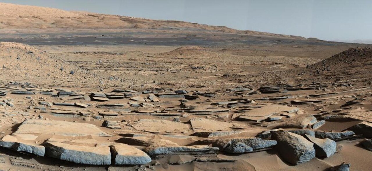 Илон Маск, SpaceX, колонизация Марса, космическая дача, посадка картошки на Марсе, будущее человечества