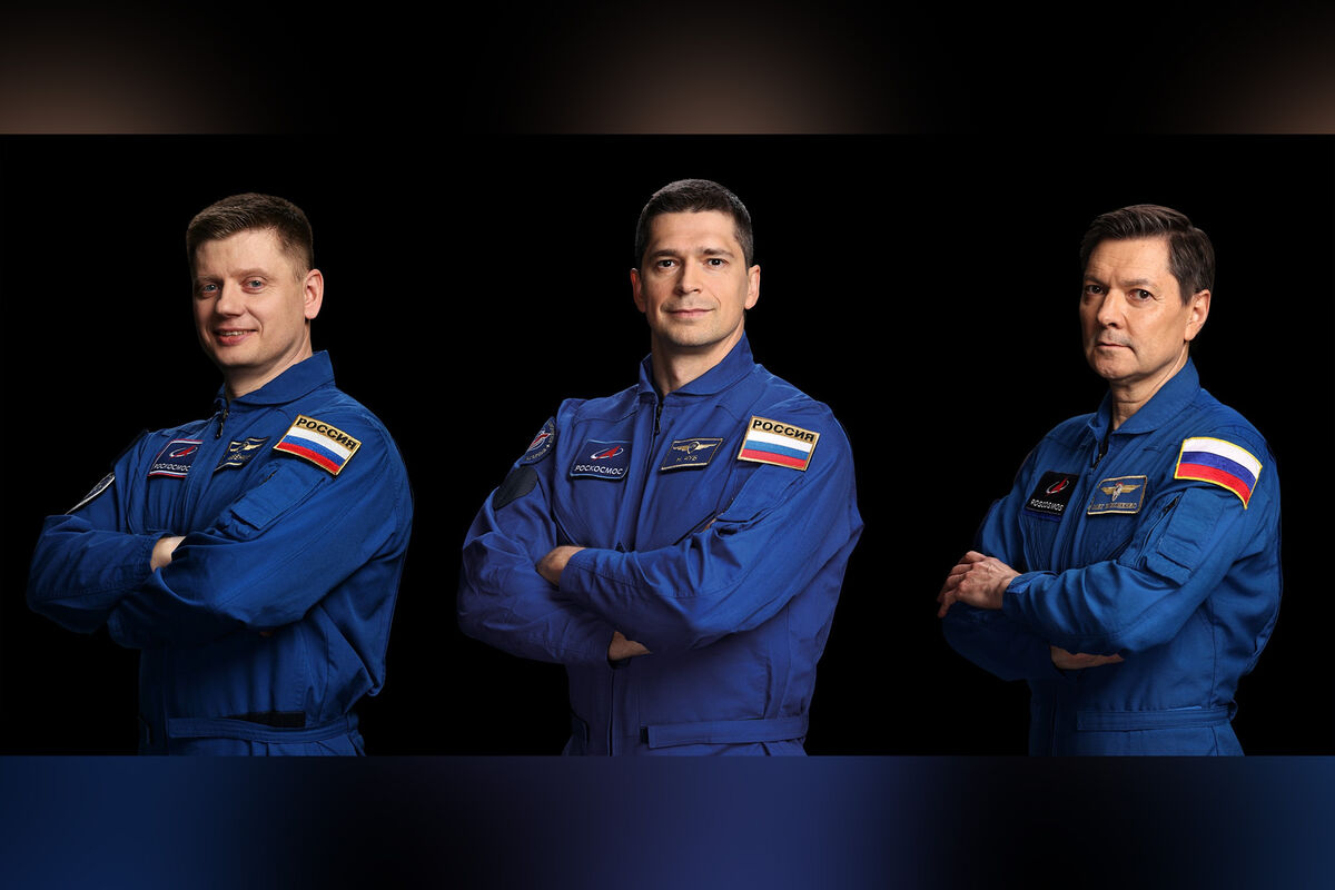 Плюшевый кот в скафандре, стилизованный под персонажа 'Космический Котангенс', на музейной витрине.