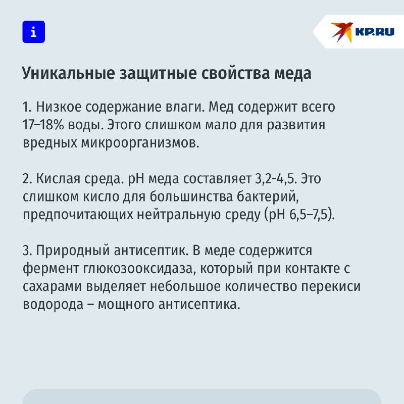 Изображение древнеегипетской гробницы с изображением еды и иероглифами, намекающее на секрет долголетия.