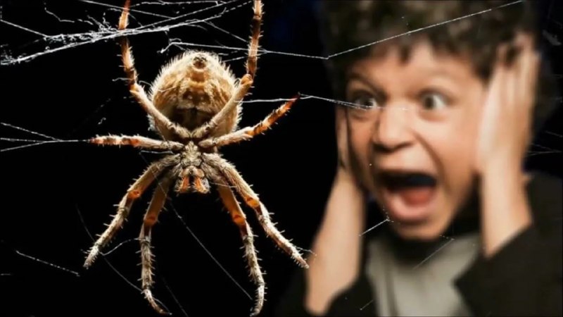 Человек в VR-шлеме, проходящий виртуальную терапию для преодоления страха перед пауками