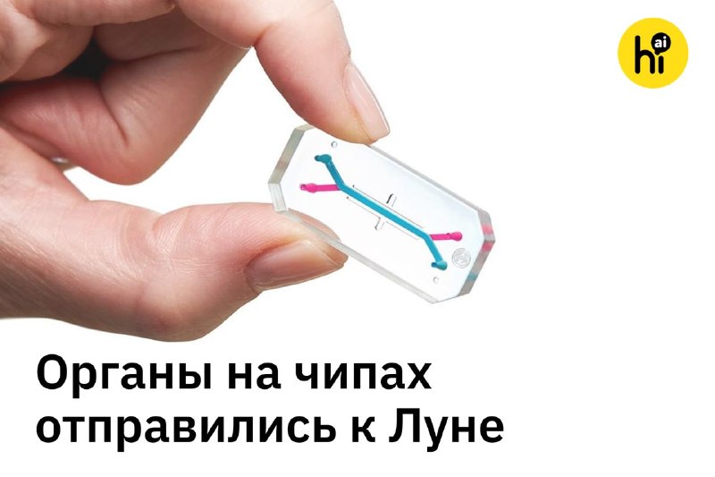Костный мозг летит на Луну: как NASA упаковало астронавтов в обычные флешки