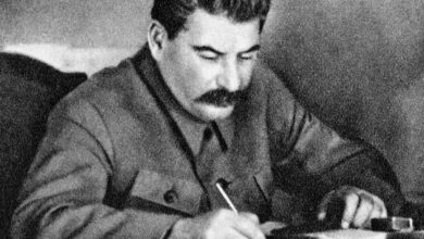 Винная пещера с бутылками вина, символизирующая историческое наследие Грузии