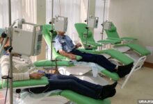 История о том, как безнадежный диагноз превратился в абсолютный триумф