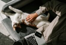 Изображение системного блока с акцентом на передние USB-порты и подключенные накопители.
