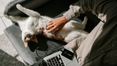 Изображение системного блока с акцентом на передние USB-порты и подключенные накопители.