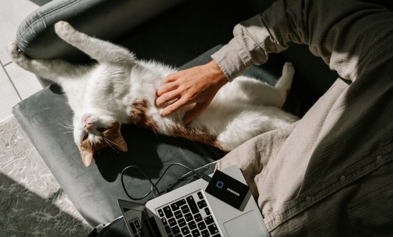 Изображение системного блока с акцентом на передние USB-порты и подключенные накопители.