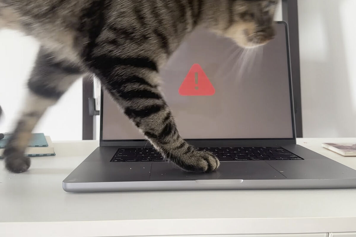 Изображение MacBook и кота, взаимодействующих с новым приложением