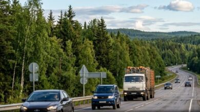Инфраструктура интернета в лесной местности
