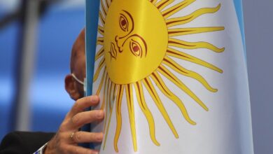 Изображение трехметровой дино-цапли, символизирующей древнего рыболова из Аргентины с звёздным следом на небесах.