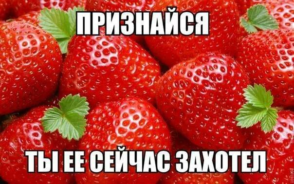 Свежая спелая клубника на зеленом фоне