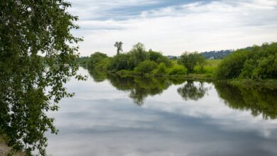 Порталы Уральской мультивселенной, малахит и тайны горнозаводской цивилизации