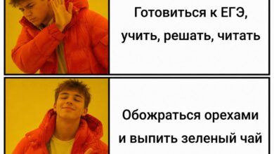 Изображение различных здоровых продуктов и напитков, которые могут помочь выпускникам в подготовке к экзаменам.
