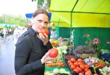 Персики под теплым душем, символизирующие идеальную чистоту летнего урожая
