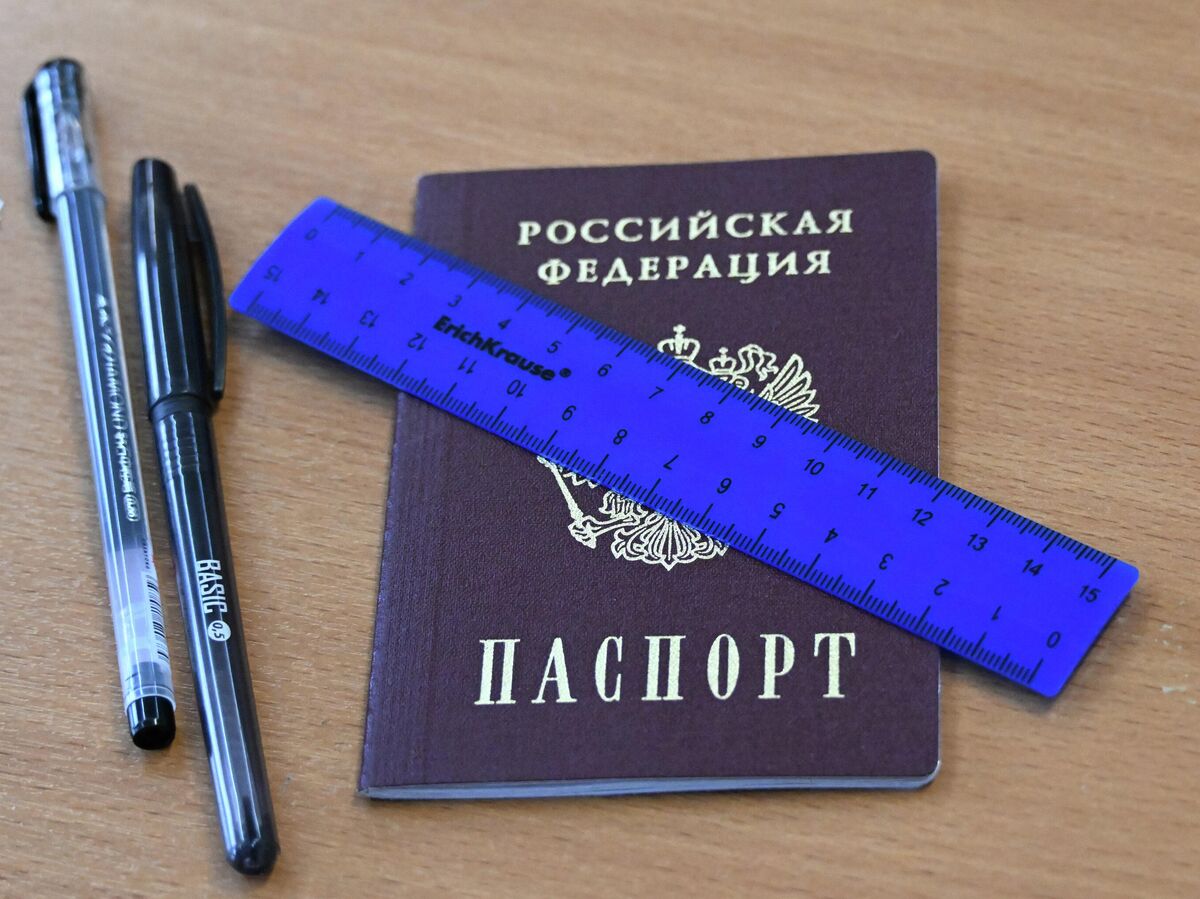 Изображение Дагестанской Эйнштейн в юбке, символизирующей успех в экзаменах