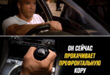 Изображение, иллюстрирующее рецепт вечной молодости ума, основанный на исследованиях японских ученых.