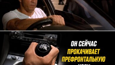 Изображение, иллюстрирующее рецепт вечной молодости ума, основанный на исследованиях японских ученых.