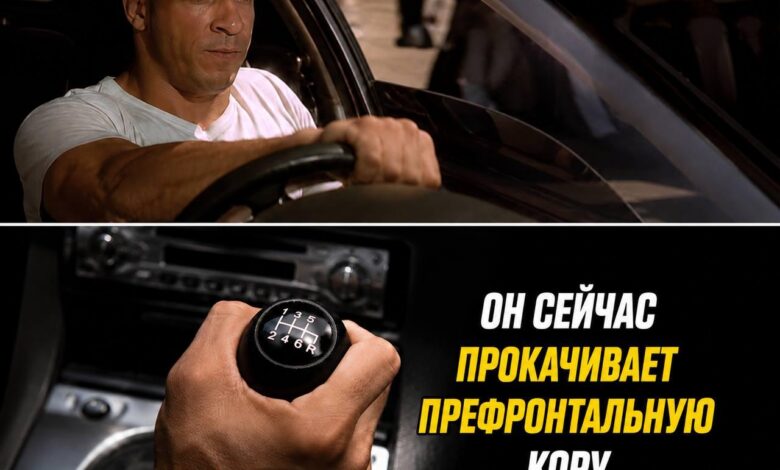 Изображение, иллюстрирующее рецепт вечной молодости ума, основанный на исследованиях японских ученых.