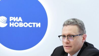 Аисты в Вологде, символизирующие высокий уровень рождаемости в регионе