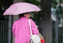 Изображение, иллюстрирующее ценность розового цвета в моде и аксессуарах.