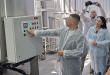 Упаковка меда в изящные стики для арабских шейхов