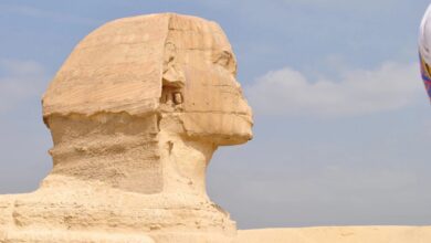 Картинка с загадками для улучшения настроения и тренировки ума