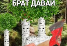 Изображение канадских кленов, символизирующих новые права и свободы