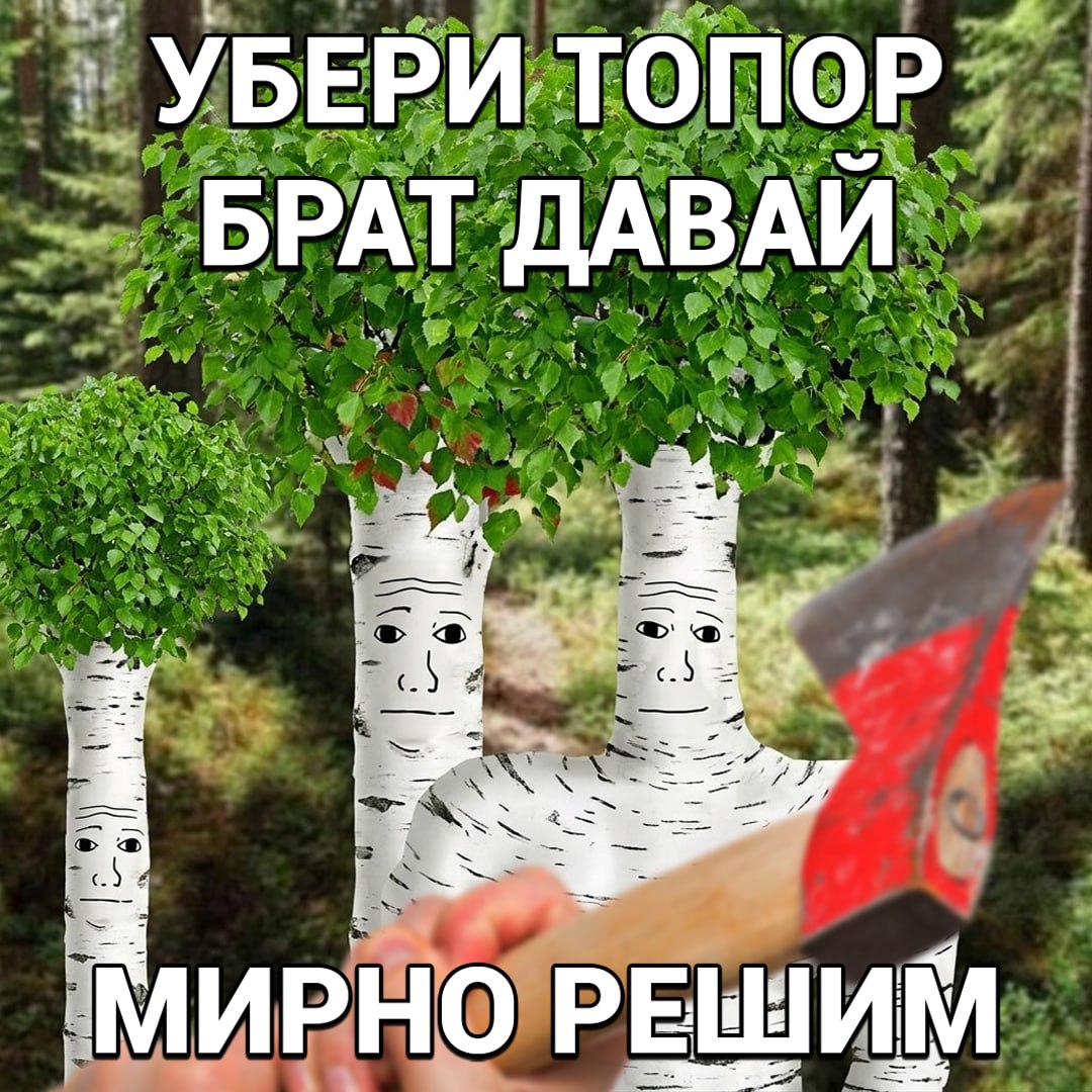 Изображение канадских кленов, символизирующих новые права и свободы