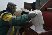 Ученые из Петербурга работают над превращением органических отходов в удобрение